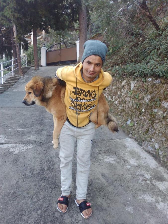 The Brigadiers Cottage, Mussoorie Bagian luar foto