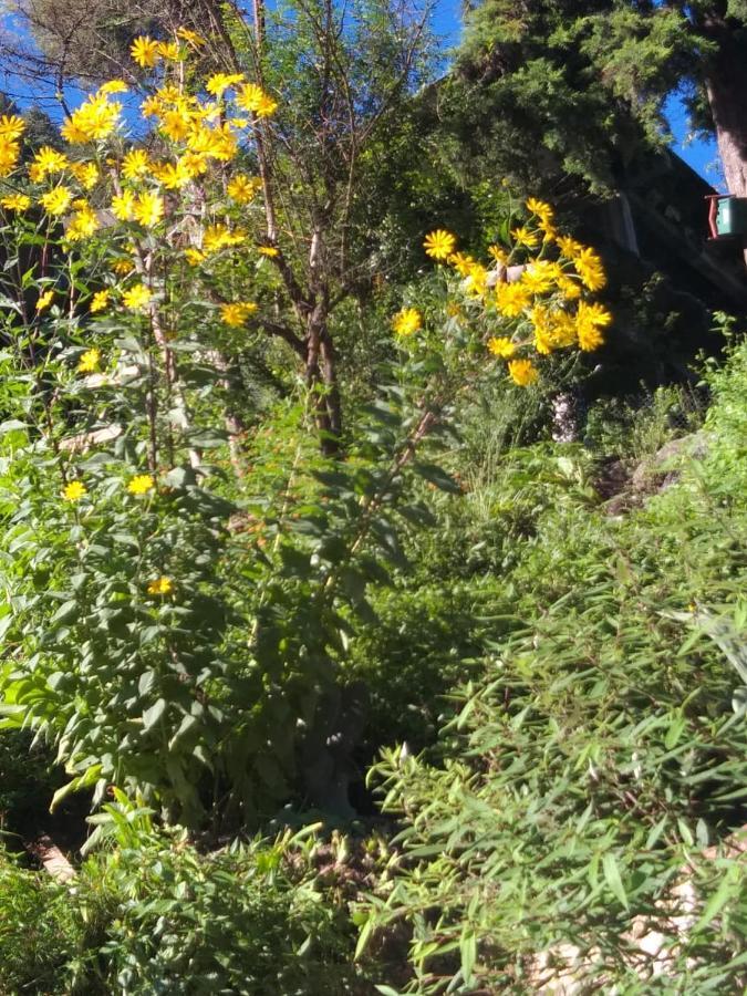 The Brigadiers Cottage, Mussoorie Bagian luar foto