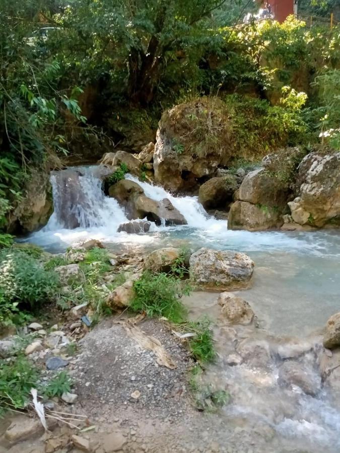 The Brigadiers Cottage, Mussoorie Bagian luar foto